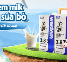 Sữa Tươi Western 3,8 % FAT (1 lít)