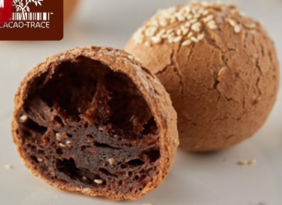 Bột Trộn sẵn Mochi Socola Puratos